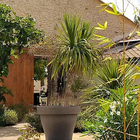 Les Bohemielles Raphael Holiday home Cartelegue