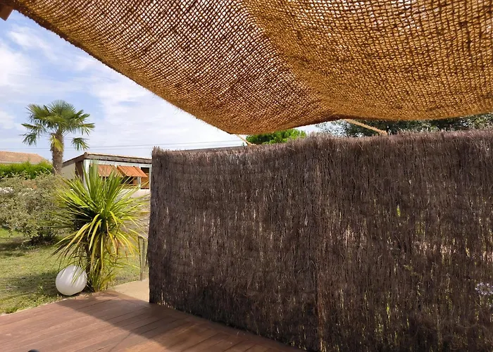 Les Bohemielles Raphael *